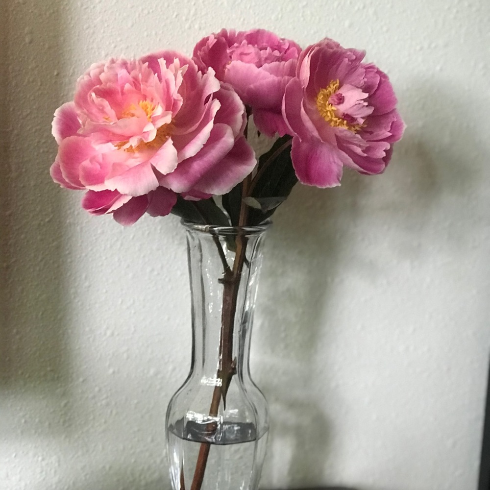 Meet the Posher: Diana
